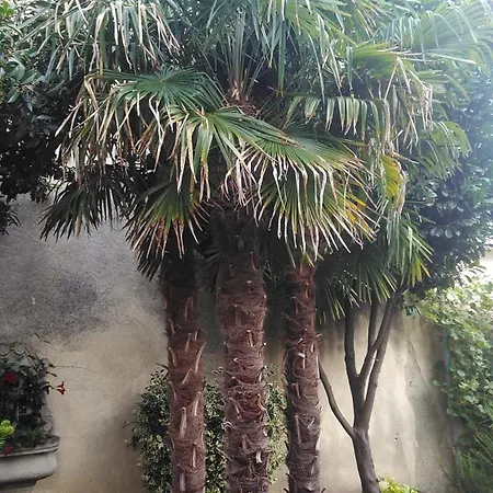 Bed and Breakfast Villa-angelina Langenzersdorf