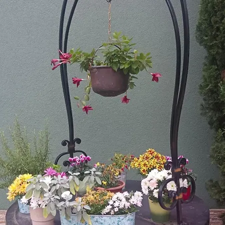 Villa-angelina 3* Langenzersdorf