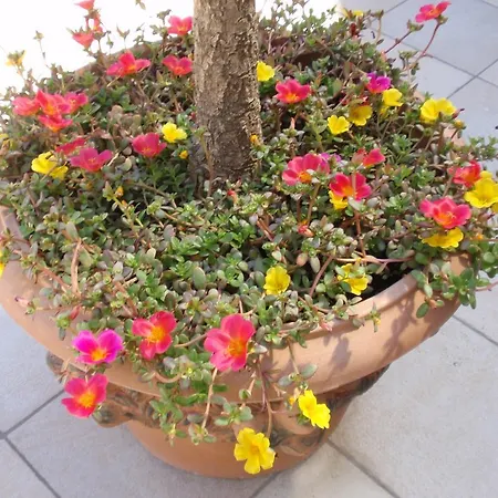 安吉丽娜别墅酒店 Langenzersdorf