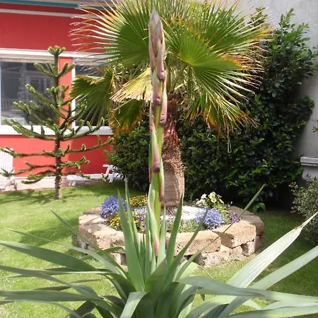 安吉丽娜别墅酒店 住宿加早餐酒店