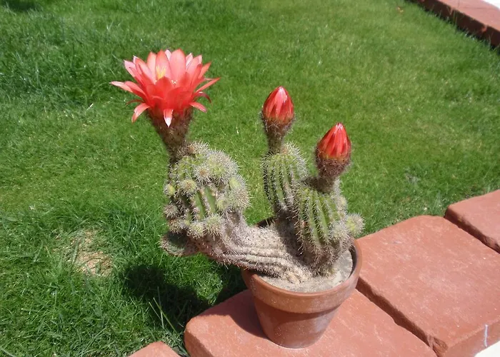 Villa-angelina Langenzersdorf