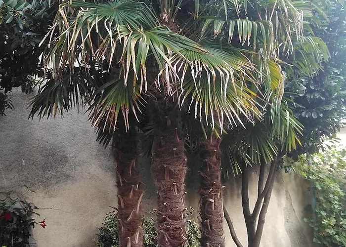 Bed & Breakfast Villa-angelina Langenzersdorf