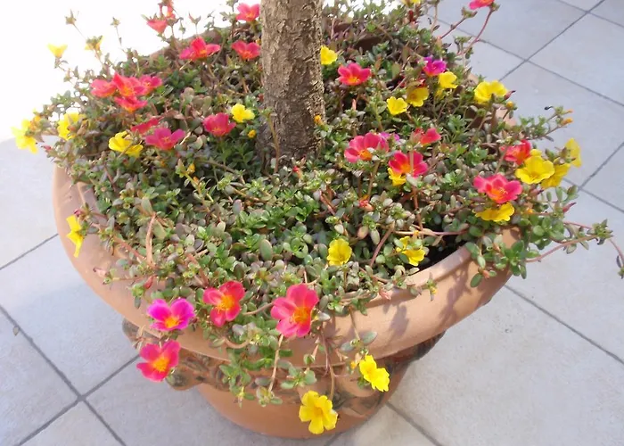 Villa-angelina Langenzersdorf